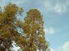 IMG00168.JPG
