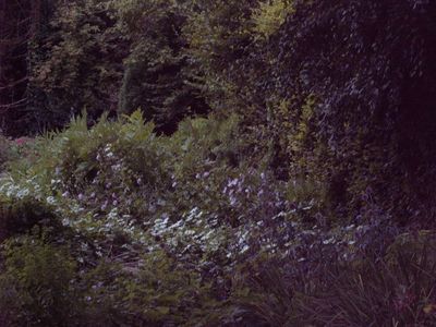 Натиснете за да видите снимката уголемена