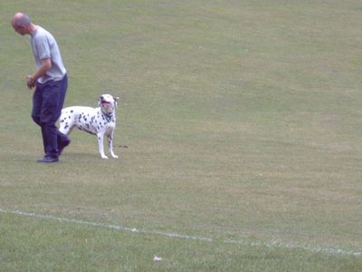 Натиснете за да видите снимката уголемена