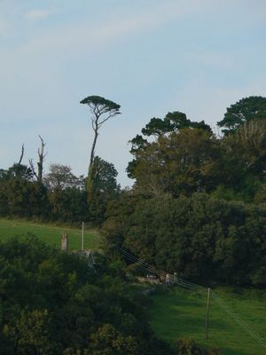 Натиснете за да видите снимката уголемена