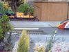 IMG00128.JPG