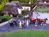 15082007826.jpg