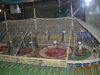 P1010751.JPG