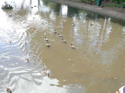 Натиснете за да видите снимката уголемена