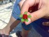 300720081137.jpg