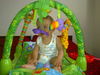 25082009167.jpg