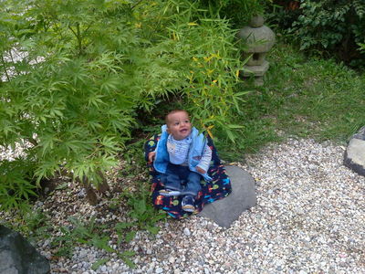 Натиснете за да видите снимката уголемена