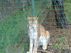 19092009334.jpg