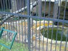 19092009337.jpg