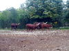 19092009392.jpg
