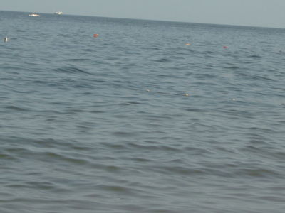 Натиснете за да видите снимката уголемена