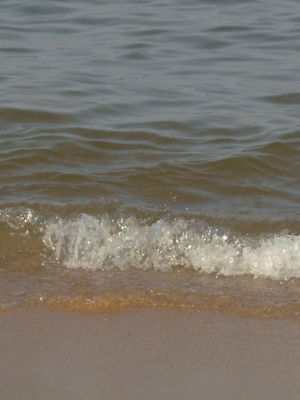 Натиснете за да видите снимката уголемена