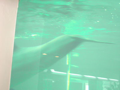 Натиснете за да видите снимката уголемена