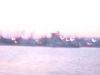 IMG00086.JPG